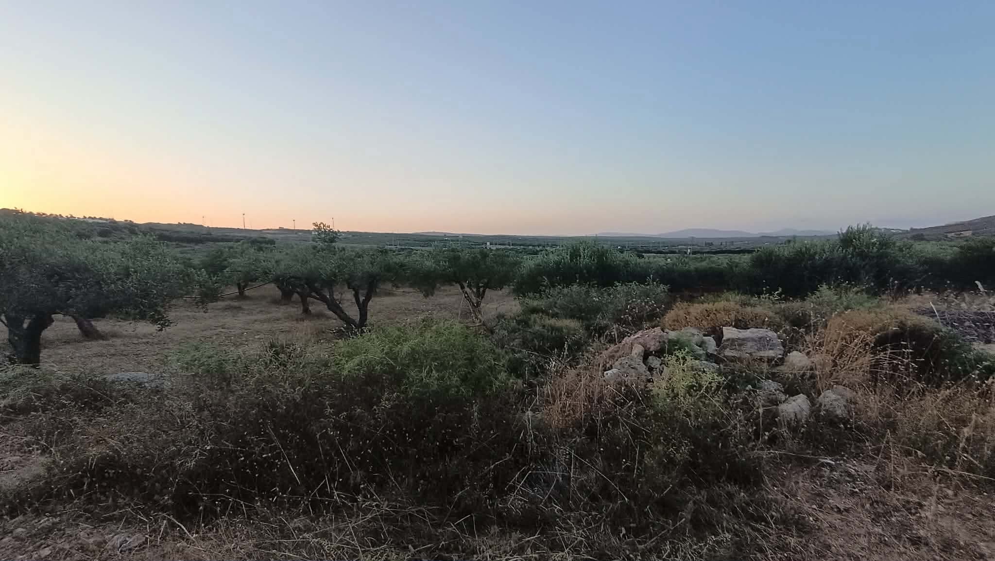 3509 Νέο ακινητο.
