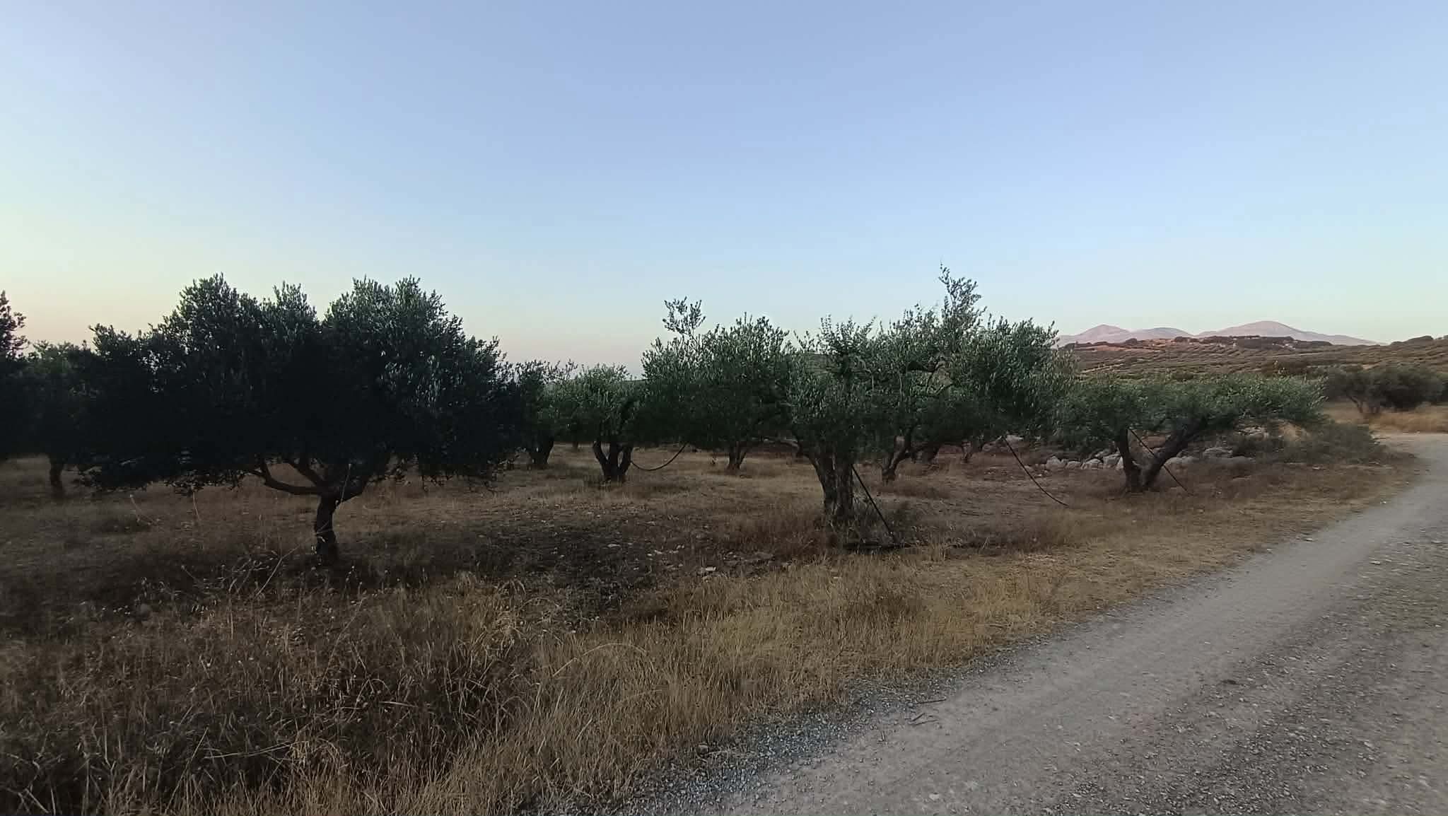 3510 Νέο ακινητο.