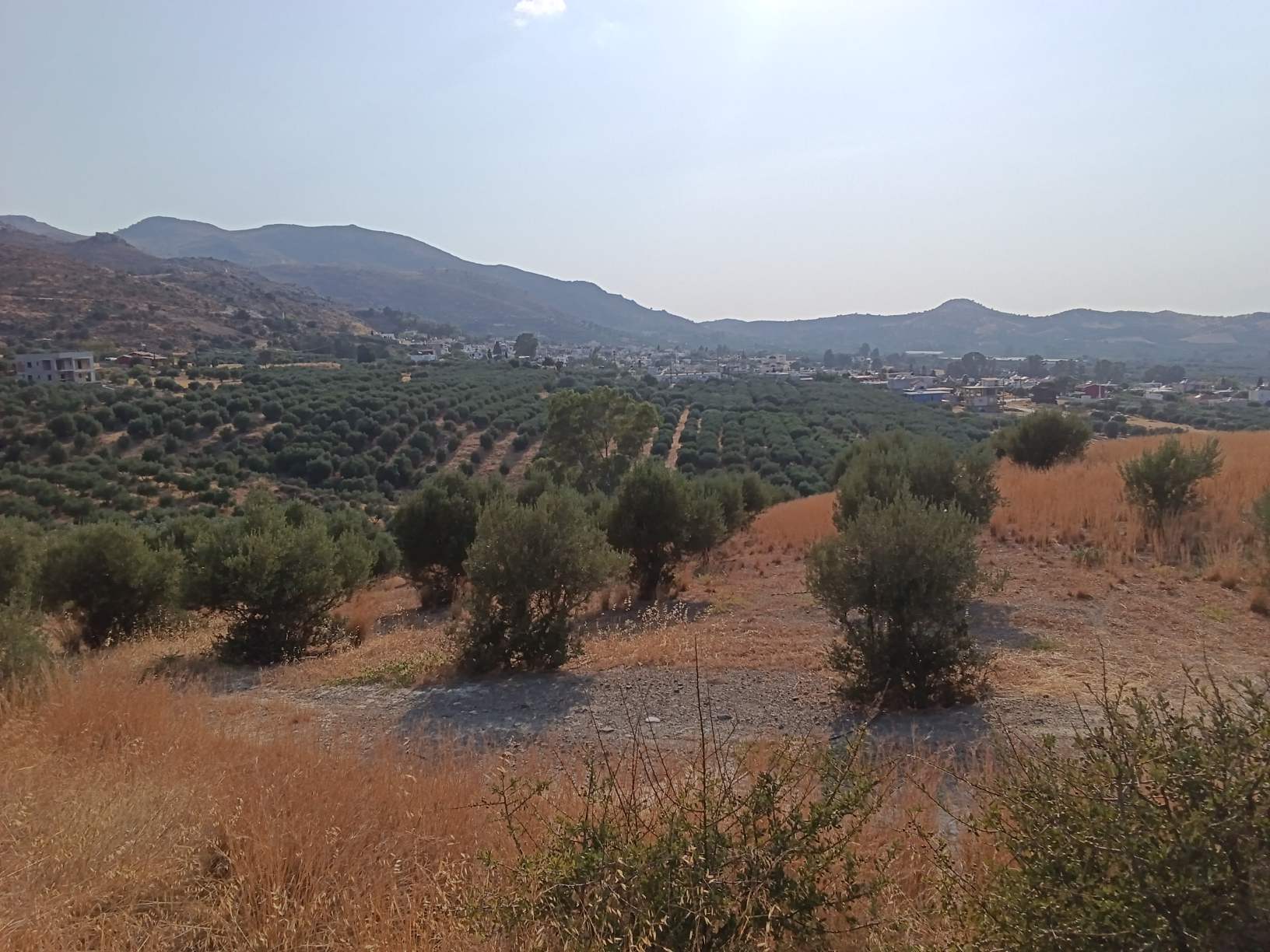 Νέο ακινητο.