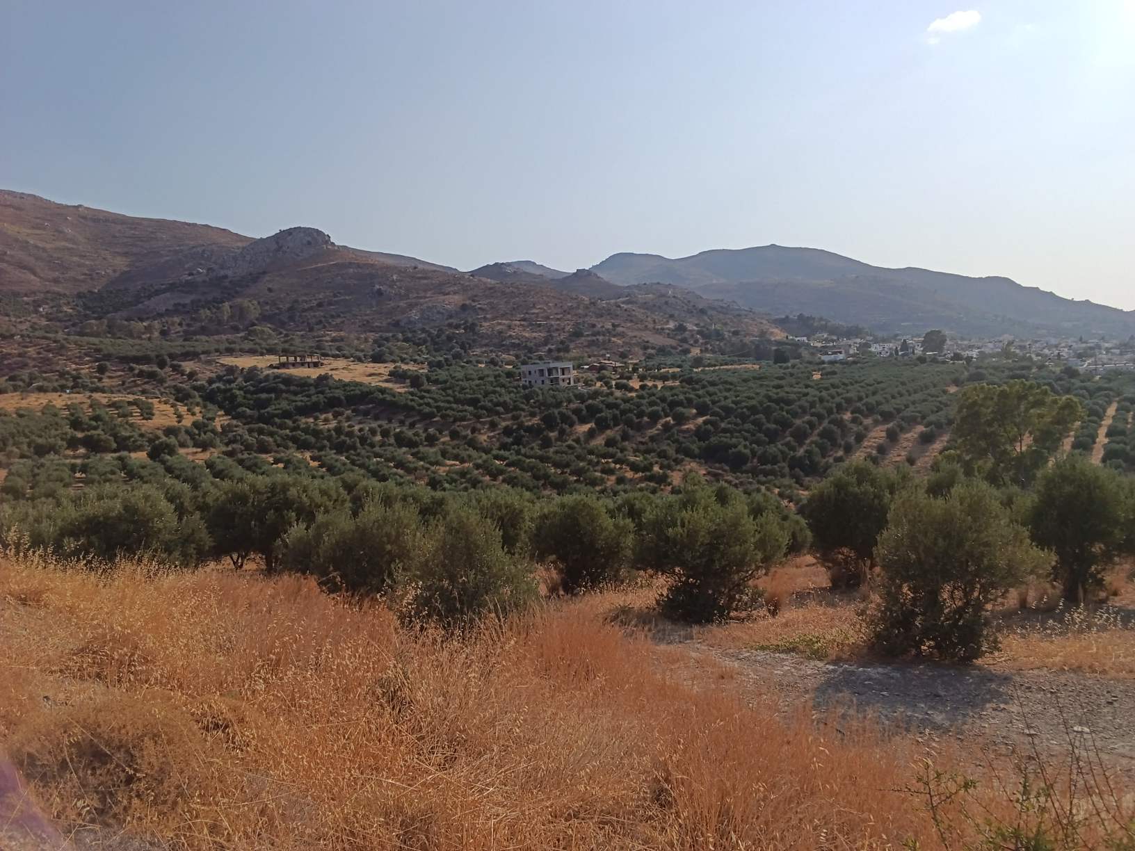 Νέο ακινητο.