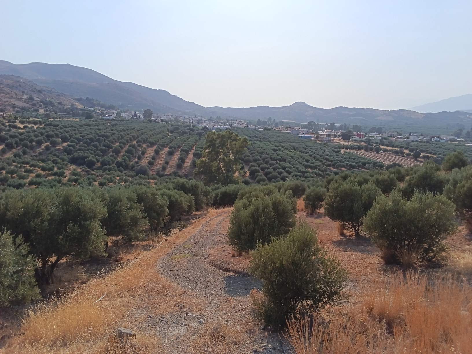 Νέο ακινητο.