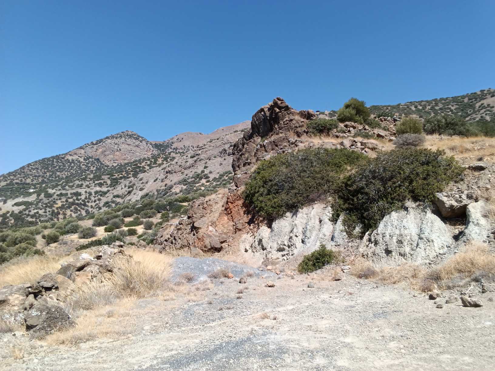 4231 Νέο ακινητο.