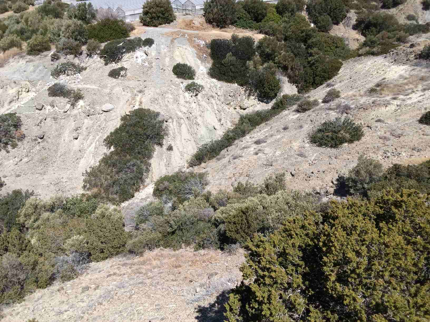 4239 Νέο ακινητο.